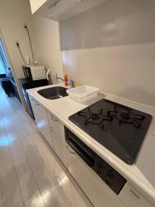 a kitchen with a stove and a sink at Lion Heiwa Odori in Hiroshima