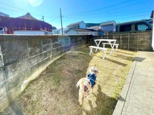 a dog standing in the grass next to a fence at KOKOYUI GUESTHOUSE Taiji in Taiji