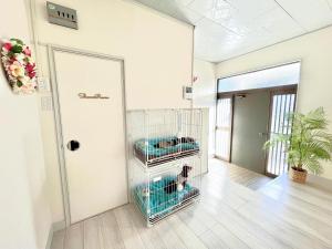 a dog in a cage in a room at KOKOYUI GUESTHOUSE Taiji in Taiji