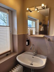 a bathroom with a sink and a mirror at ZwischenWasser in Jübek