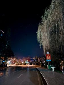 an empty street at night with a tree hanging over it at OnTop Hotel in Sapa