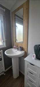a bathroom with a white sink and a mirror at T&K's Caravan in Morecambe +31 photos