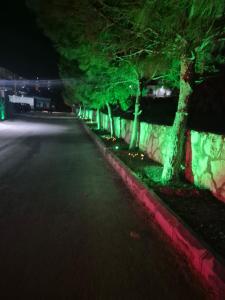 an empty street at night with green lights at Malaga palace in Soûr +3 photos