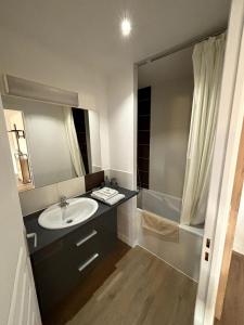 a bathroom with a sink and a shower at Le coeur du Velay 2 personnes in Le Puy-en-Velay