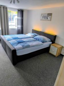 a bedroom with a bed with blue pillows and a window at Ferienwohnung Viktoria in Ehrlich