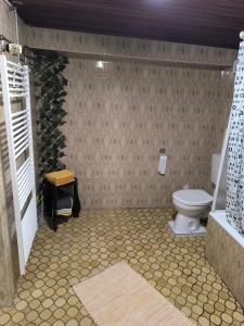 a bathroom with a toilet and a shower and a sink at Ferienwohnung Viktoria in Ehrlich +7 photos