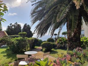 a table and chairs in a garden with a palm tree at Villa Cedros in Santa Cruz das Flores
