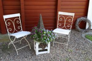 two chairs and a potted plant on a patio at Holthus in Kollmar