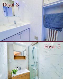 a white bathroom with a sink and a shower at 2 appartements modernes à Royat in Royat