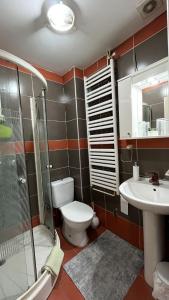 a bathroom with a toilet and a shower and a sink at Vila Eni in Smederevo