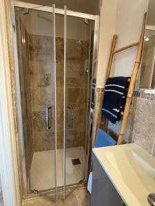 a shower with a glass door in a bathroom at ARLES CAMPAGNE LOCATION "La Campagn'Arles" in Arles +15 photos