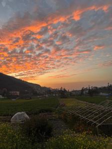 a sunset over a farm with a field of crops at Calmsutra retreat in Sānkhu