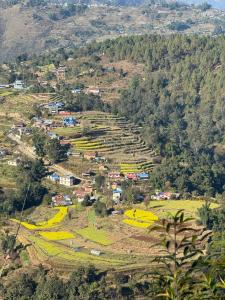a small village on a hill with houses and trees at Calmsutra retreat in Sānkhu