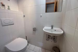 a white bathroom with a toilet and a sink at Wohnkultur - Industrial Loft Schwetzingen in Schwetzingen +23 photos