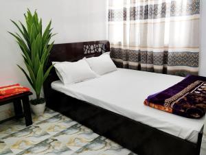 a bed in a room with a plant at Hotel Taqwa Dhanmondi in Dhaka