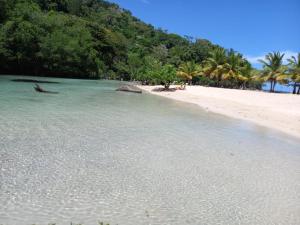 a beach with palm trees and water and a mountain at Casa mar in Las Galeras