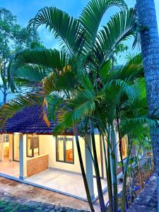 a house with palm trees in front of it at Green Haven Hill Phu Quoc in Phú Quốc