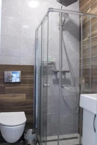 a bathroom with a shower with a toilet and a sink at Rivne Hostel in Rivne +58 photos