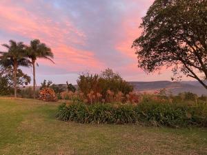 a view of a garden with a palm tree and plants at Mon Desir Estate - BR4 in Pietermaritzburg