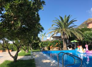 a swimming pool at a resort with palm trees at Sunset Villa Favazzina- Piscina e vista sul Mare in Favazzina