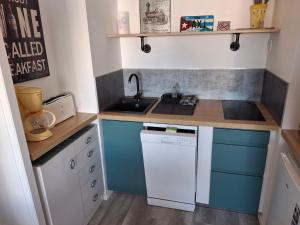 a small kitchen with a sink and a dishwasher at RIEZ Entre Mer et Dunes in Saint-Hilaire-de-Riez