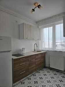 a kitchen with wooden cabinets and a sink and a refrigerator at At Ladyluck in Suceava