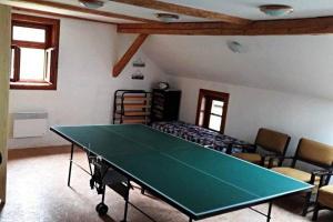 a room with a ping pong table in a room at Chalupa U Kapličky Pastviny in Pastviny