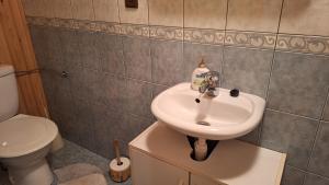 a bathroom with a sink and a toilet at Chalupa U Kapličky Pastviny in Pastviny +12 photos