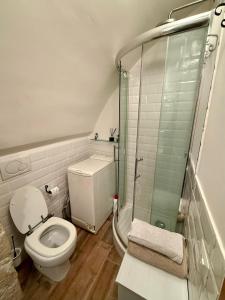 a bathroom with a toilet and a glass shower at Rifugio del vicolo in Lucoli Alto
