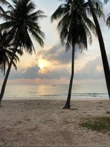 two palm trees on the beach at sunset at Only fan guesthouse in Chumphon