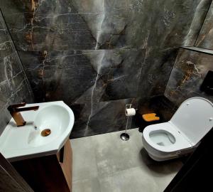 a bathroom with a white toilet and a sink at Apartments Javor in Veľký Slavkov +13 photos