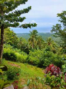 a view of the jungle from the top at el balcon camiguin in Mambajao +29 photos
