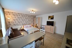 a living room with a couch and a tv at FLH - Binder Lake View with AC in Sibiu