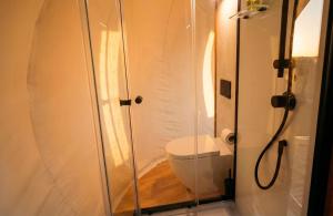 a bathroom with a toilet and a glass shower at Glamping Balú in Monesterio