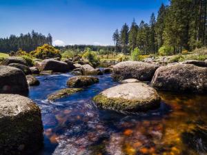 a river with rocks and trees in the background at 1 Bed in Yelverton oc-93333 in Yelverton