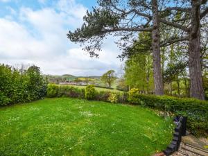 a green yard with a bench and a tree at 2 Bed in Exeter oc-90455 in Tedburn Saint Mary
