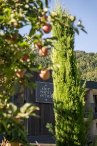 an apple tree in front of a building with a sign at Garni-Hotel Der Forsterhof in Lagundo