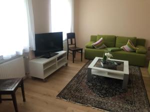 a living room with a green couch and a tv at Blick ins Grüne in Idar-Oberstein