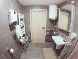 a bathroom with a sink and a toilet and a mirror at Murphy's Apartment in Mavrovo +20 photos