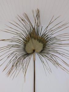 a plant is on a wall at Stunning Bush Beach House! NEW! in Elizabeth Beach