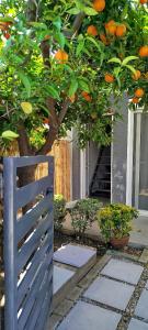 an orange tree in front of a house with a fence at Irida's House in Xylokastro