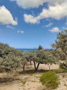 a beach with trees and the ocean in the background at Espace baleine Anakao in Anakao +3 photos