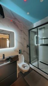 a bathroom with a toilet and a glass shower at LoVe 3 avec climatisation in Cap d'Agde