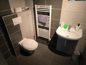 a small bathroom with a toilet and a sink at Penzion Jarka in Bratislava