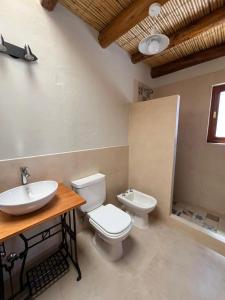 a bathroom with a toilet and a sink at Cabana Mirador Sumajpacha in Tilcara