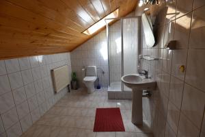 a bathroom with a sink and a toilet at Apartamenty Pod Gruszką in Tarnawa Górna +17 photos