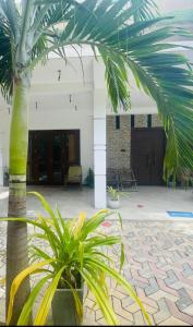a palm tree in front of a building at Delmar Homestay in Dickwella