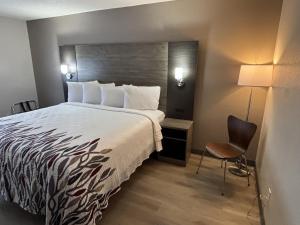a hotel room with a bed and a chair at Red Roof Inn & Suites Hammond, IN in Hammond