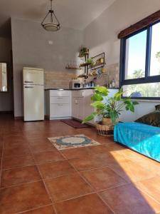 a kitchen with a refrigerator and a counter top at בין צבעי החול in Sappir