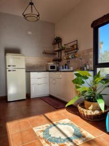 a kitchen with a white refrigerator and a sink at בין צבעי החול in Sappir